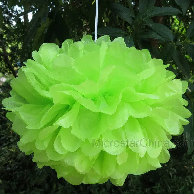 FENGRISE Wedding Decoration Events 5 pcs 20 25 30 cm Pom Pom Tissue Paper Pompom Ball Party Supplie Baby Shower Birthday Garland